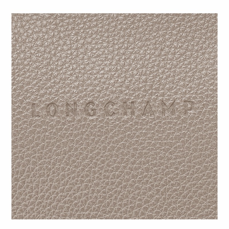 Longchamp Le FOULONNÉ S Torba Crossbody Ženski Sive Slovenija | 10138021P55