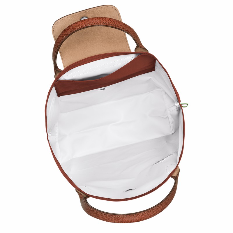 Longchamp Le Pliage Green M Torba Tote Moški Rjave Slovenija | 10168919404-