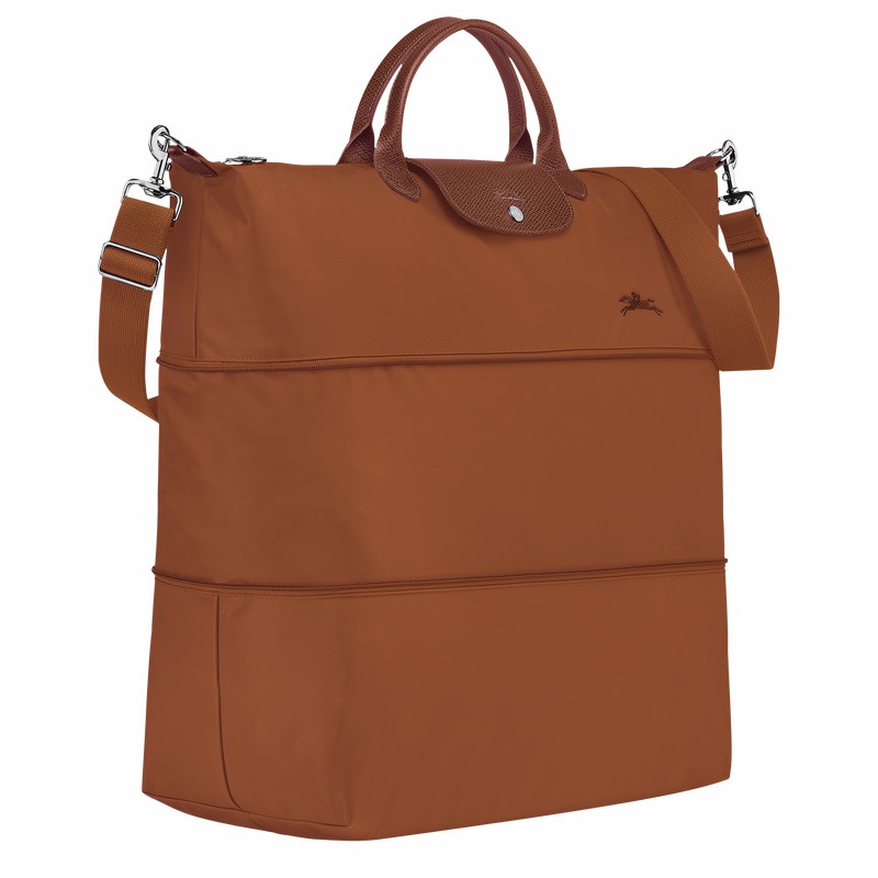Longchamp Le Pliage Green expandable Potovalne Torbe Ženski Rjave Slovenija | L1911919504