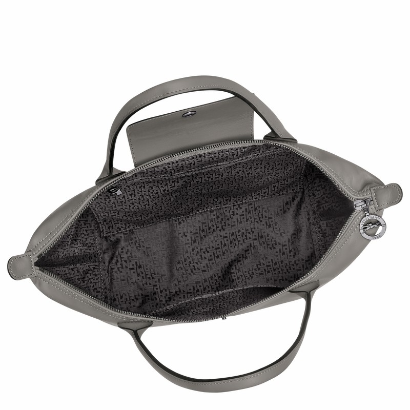 Longchamp Le Pliage Xtra M Torba Tote Ženski Sive Slovenija | L2605987P55