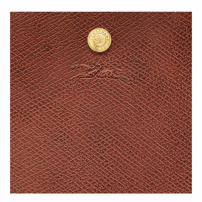 Longchamp ÉPURE XL Torba Tote Ženski Rjave Slovenija | 10260HYZ035
